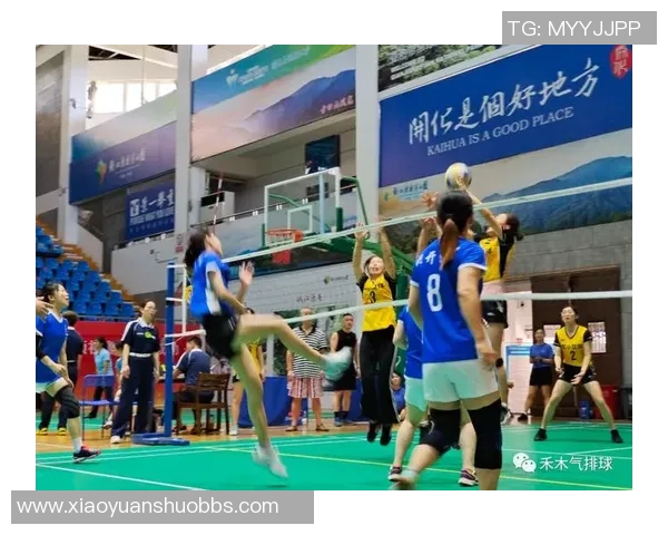 南京排球队技术表现分析与提升策略探讨 南京排球队技术表现分析与提升策略探讨