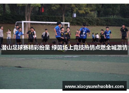 潜山足球赛精彩纷呈 绿茵场上竞技热情点燃全城激情