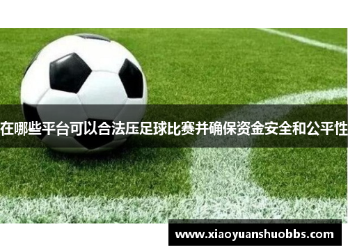 在哪些平台可以合法压足球比赛并确保资金安全和公平性