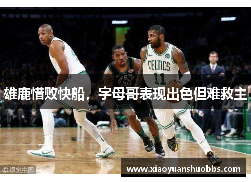 雄鹿惜败快船，字母哥表现出色但难救主