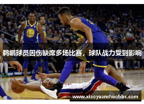 鹈鹕球员因伤缺席多场比赛，球队战力受到影响