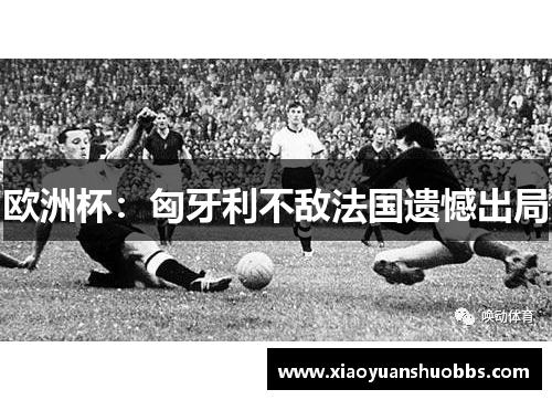 欧洲杯：匈牙利不敌法国遗憾出局