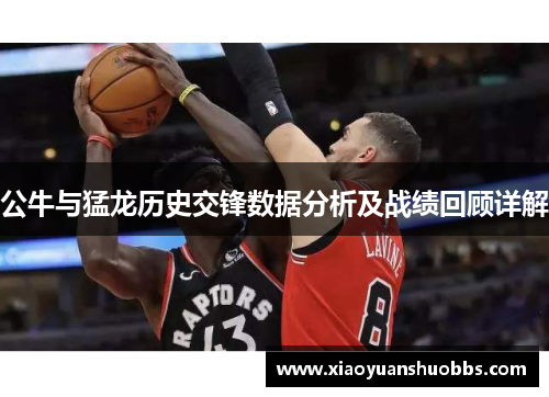 公牛与猛龙历史交锋数据分析及战绩回顾详解